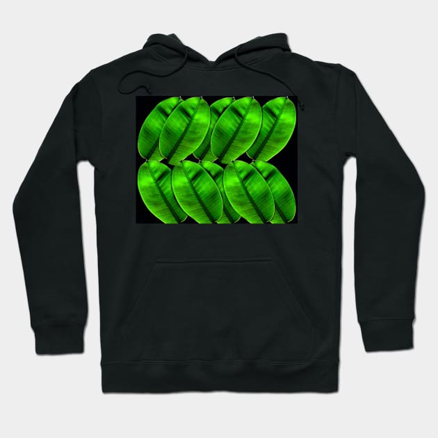 Natures green beauty commercial design A Hoodie by dltphoto